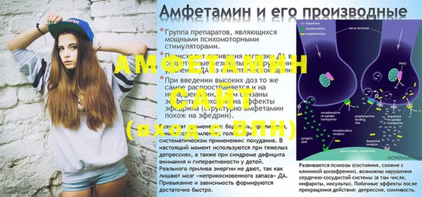 шишки Балахна