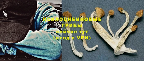 2c-b Балабаново