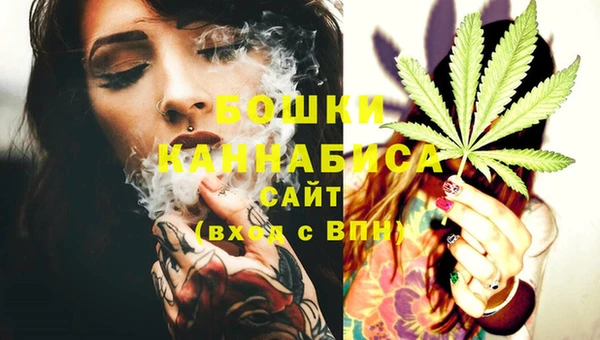 шишки Балахна