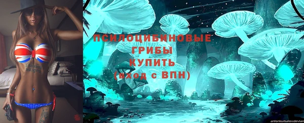 шишки Балахна