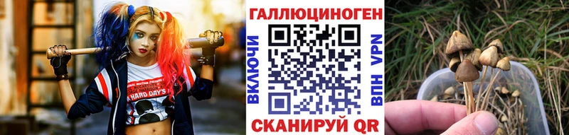 Галлюциногенные грибы GOLDEN TEACHER  где найти наркотики  Судак 
